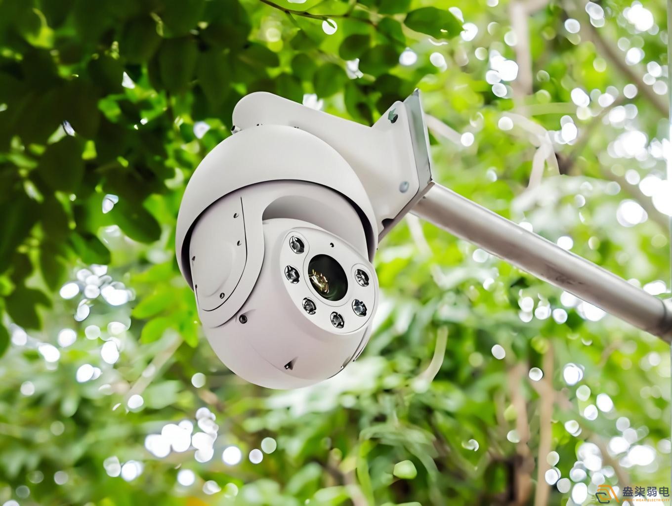 智能监控解决方案（无电无网版）