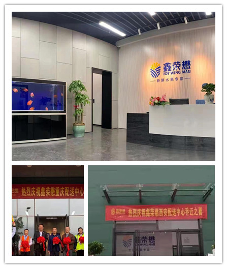 鑫荣懋 鑫荣懋