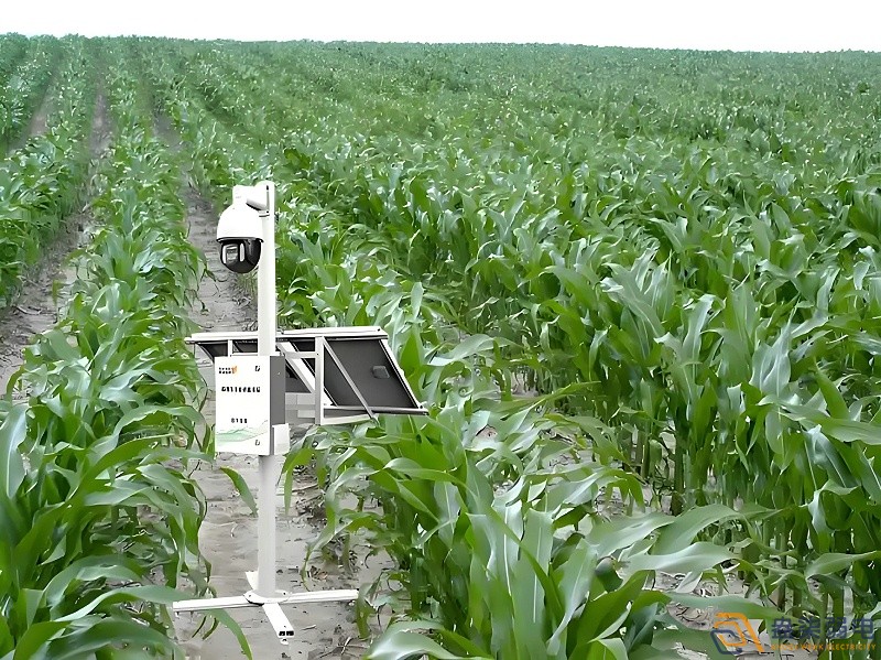 作物生长全周期监测解决方案
