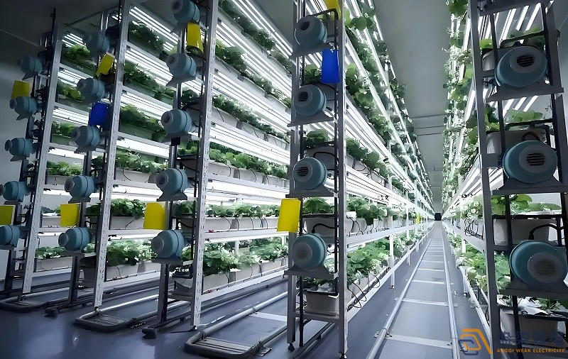 智慧种植微工厂—现代农业发展的新质生产力 智慧种植微工厂—现代农业发展的新质生产力