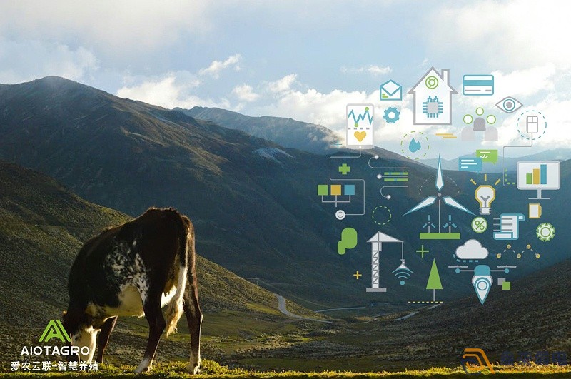 AI智能视觉分析在养殖业中的应用 AI智能视觉分析在养殖业中的应用