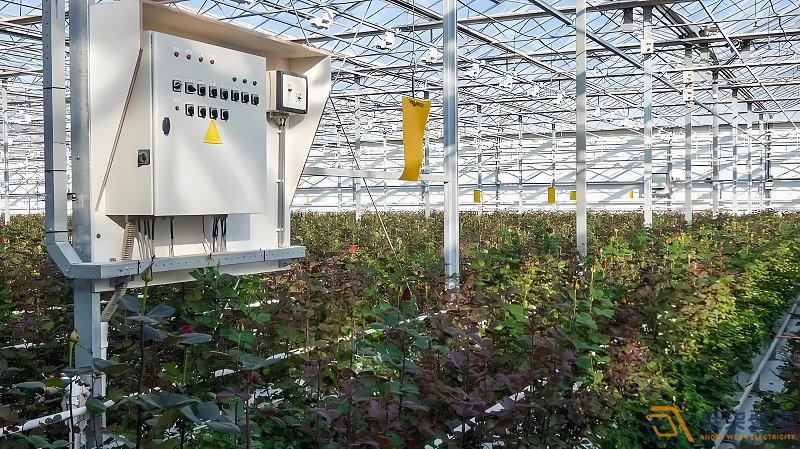 物联网在设施大棚蔬菜种植上的应用 物联网在设施大棚蔬菜种植上的应用